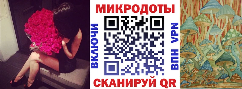 Галлюциногенные грибы Magic Shrooms  наркошоп  Котлас 
