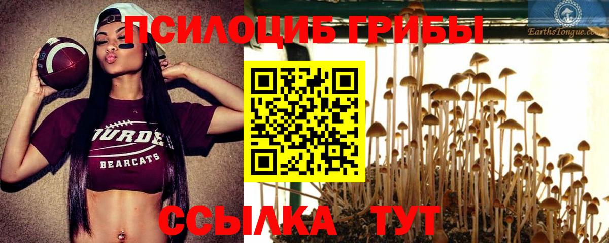Галлюциногенные грибы Magic Shrooms  Вход с VPN  наркошоп  Котлас 