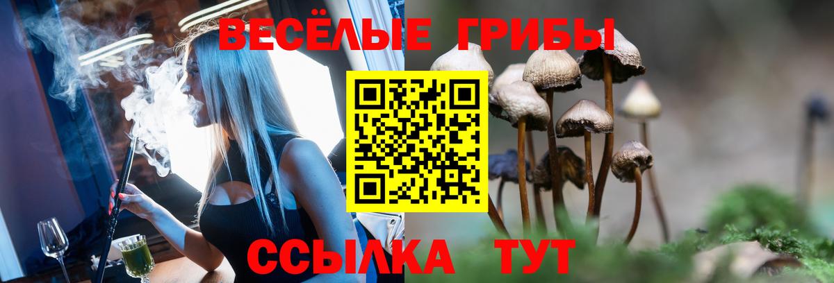 Галлюциногенные грибы мухоморы  Котлас 